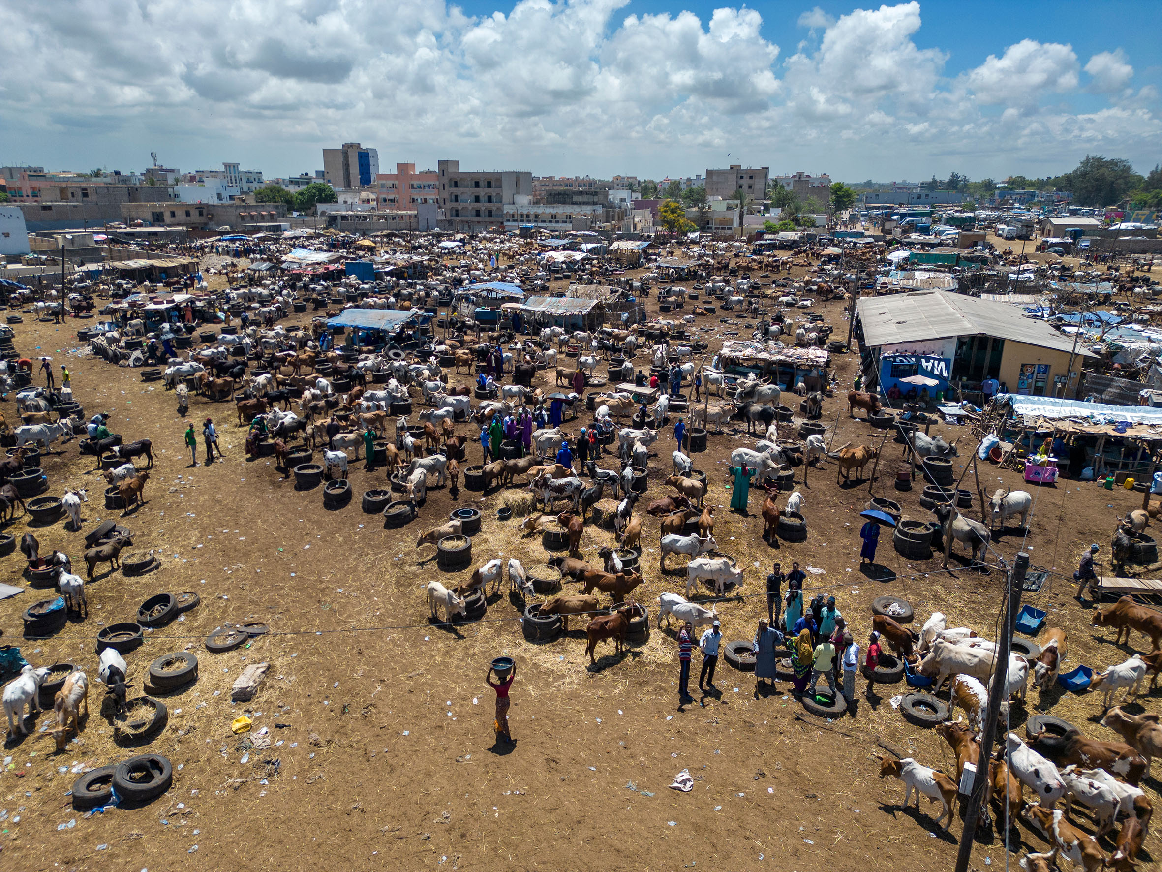 Vista aérea del mercado de ganado de Diamaguène Sicap Mbao, al que acuden unos 1.500 animales ...