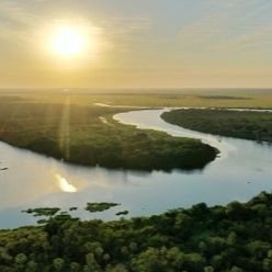 Cartografías Líquidas abre convocatoria para residencias de investigación artística de los humedales de Paraguay