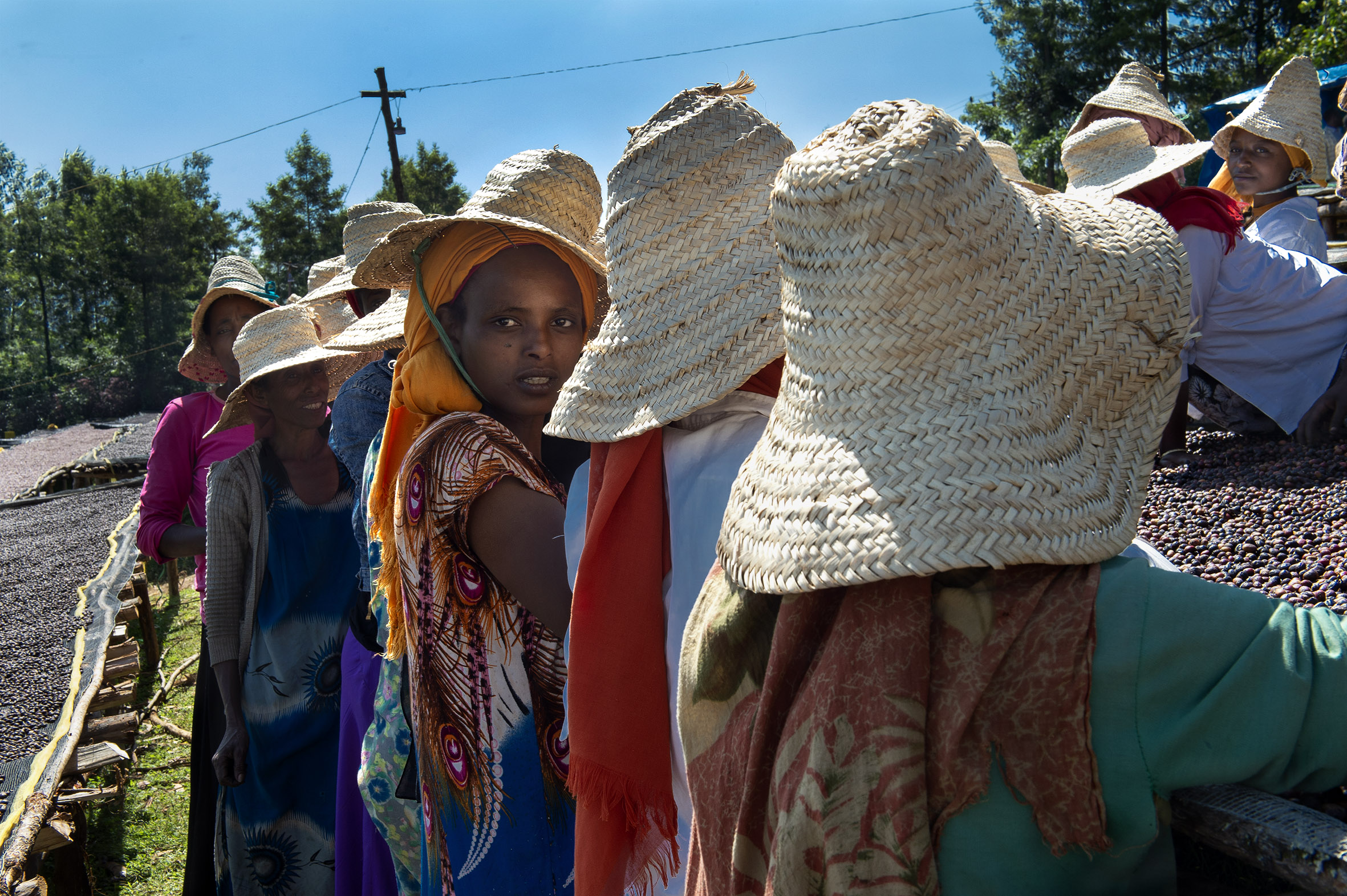 Mujeres etíopes participan en una iniciativa impulsada por la AECID en favor del desarrollo rural y los derechos de las mujeres. Foto: Miguel Lizana/ AECID