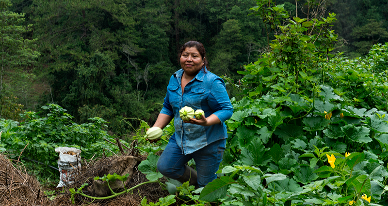 Una de las beneficiarias del proyecto de seguridad alimentaria impulsado por la AECID y que involucra a una comunidad indígena Lenca (Honduras). Foto Miguel Lizana/AECID