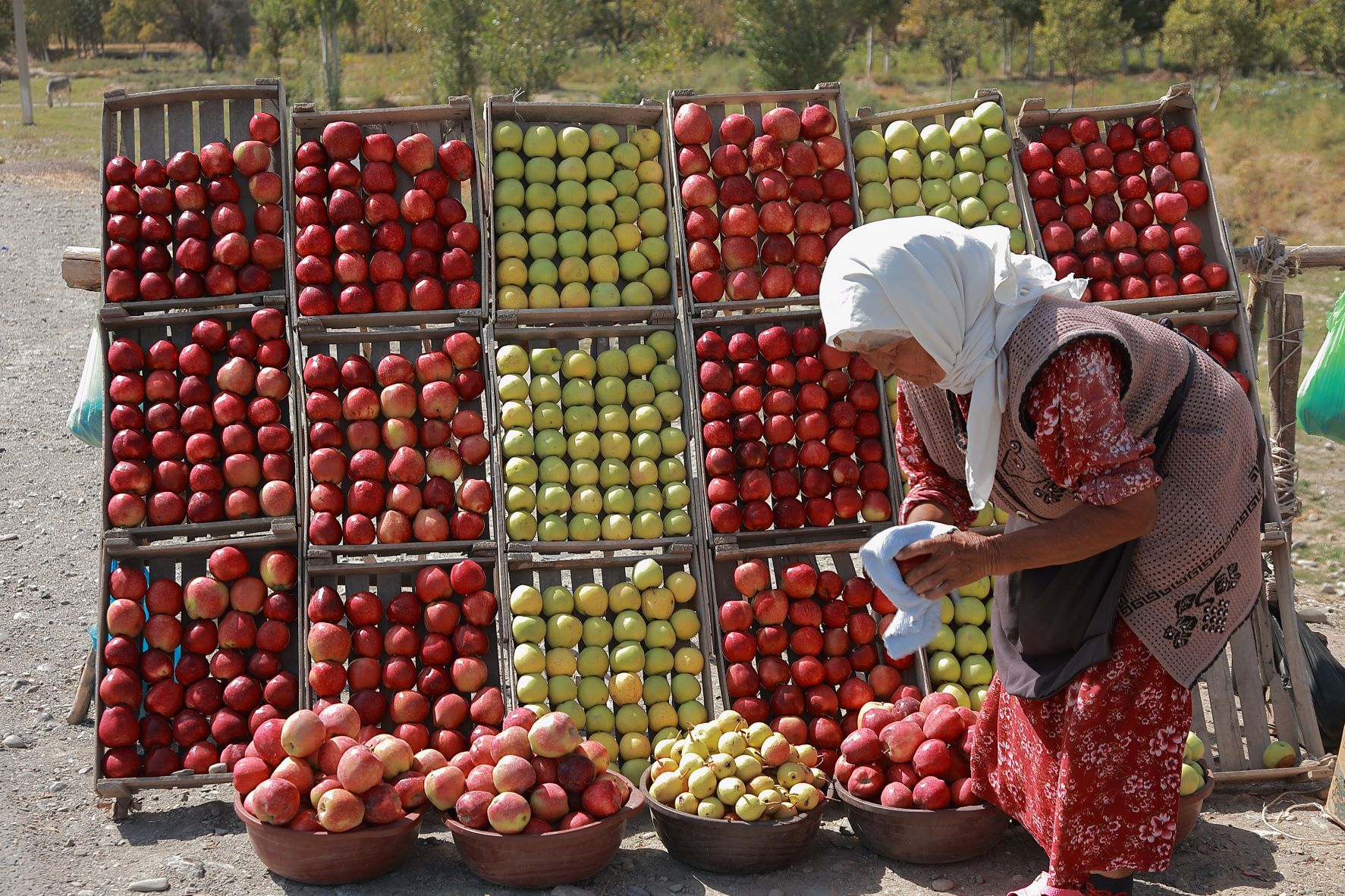 Si bien las cifras mundiales del hambre se han mantenido relativamente estables entre 2021 y 2022, hay muchos lugares del mundo que se enfrentan a crisis alimentarias cada vez más graves. ©FAO/Lazizkhon Tashbekov