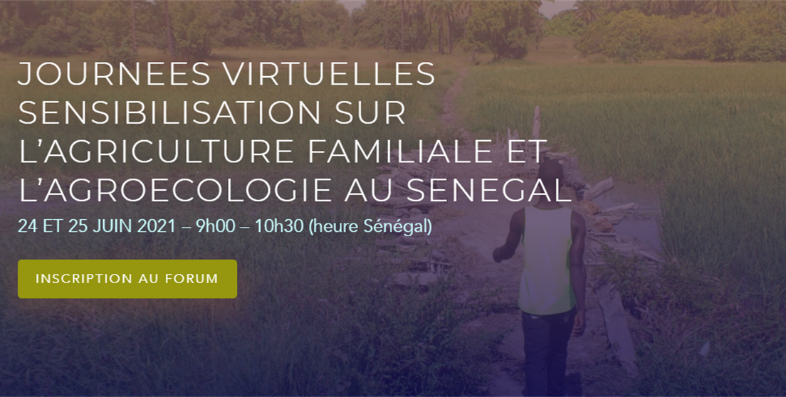 jornada agroecología en Senegal