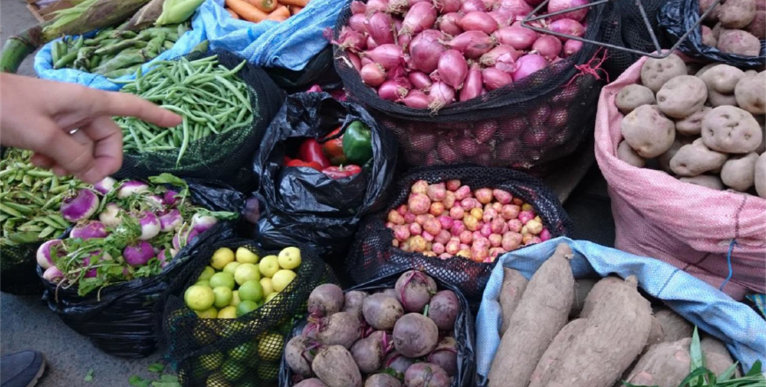 agroecología