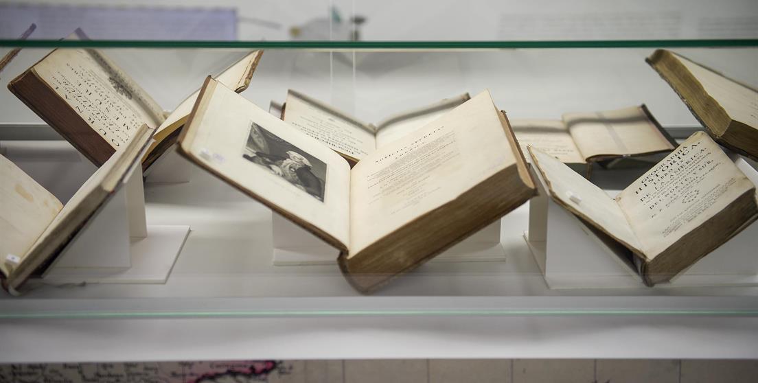 biblioteca premio