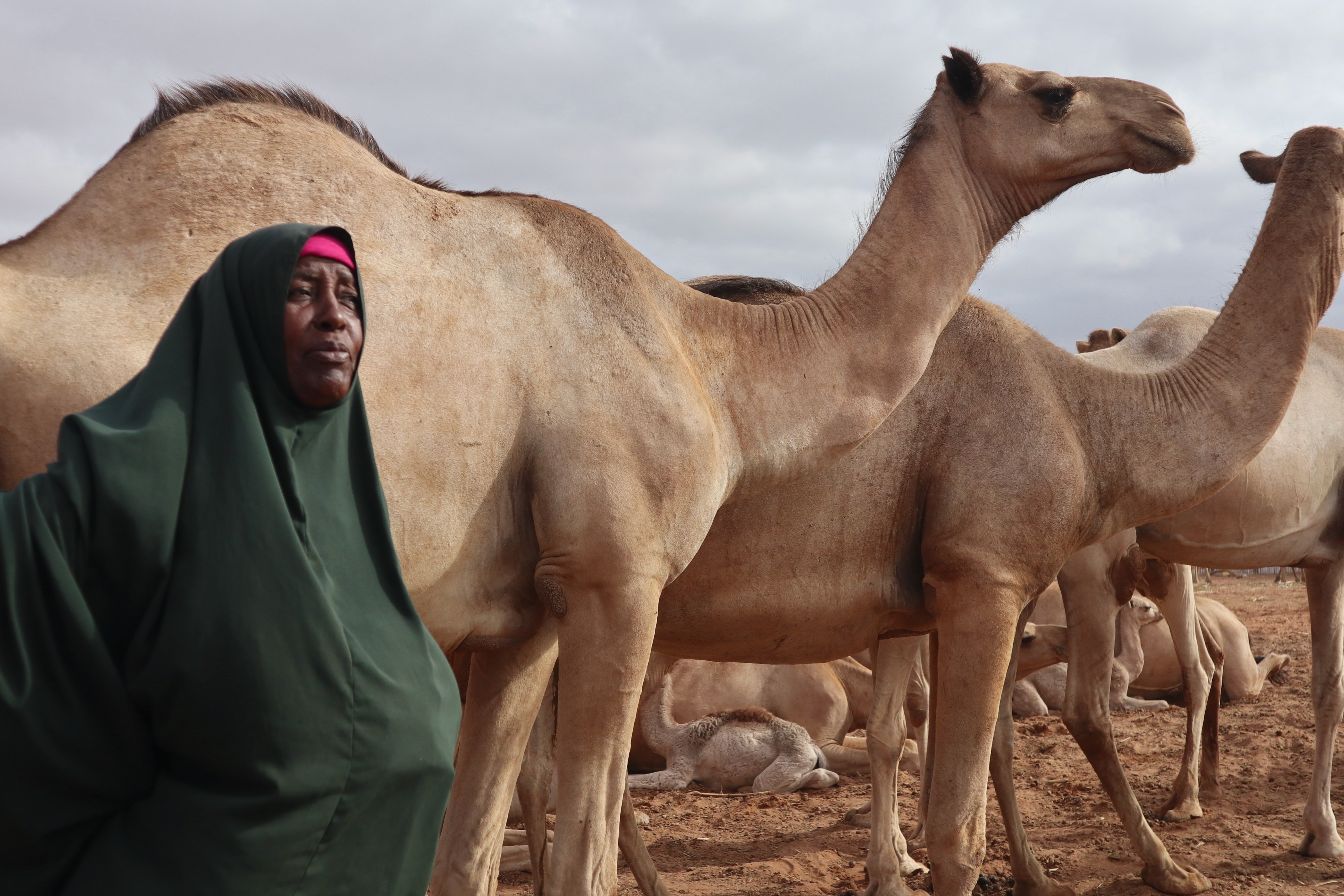 España destina 2,8 millones de euros a acción humanitaria en Etiopía para combatir la inseguridad alimentaria y proteger a pobla