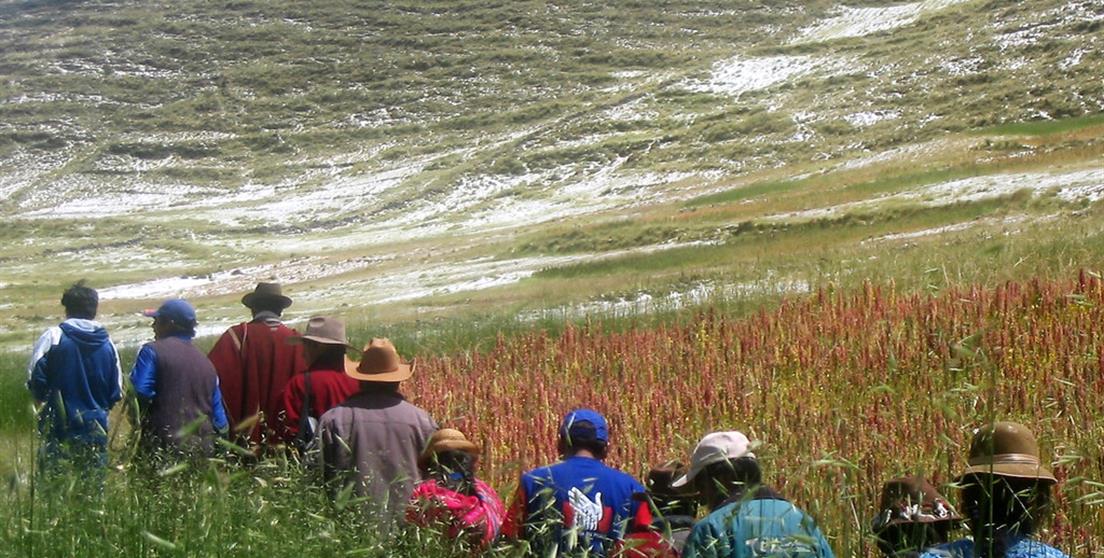 La Cooperación Española impulsa la inclusión de los pueblos indígenas de América Latina y el Caribe y apoya el ejercicio pleno d