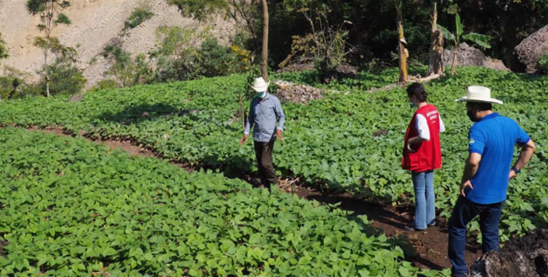 ARAUCLIMA con apoyo de AECID concluye Proyecto de Protección Financiera en Corredor Seco ...