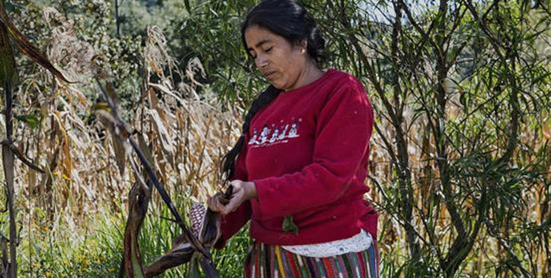 Fondo Huruma de España: atraer la inversión privada para apoyar la agricultura a pequeña escala 