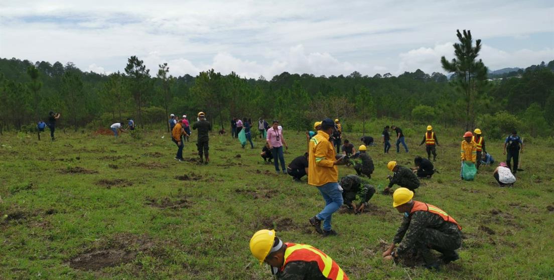 Municipalidad de Santa Rosa de Copán y la Cooperación Española encabezan actividades de reforestación