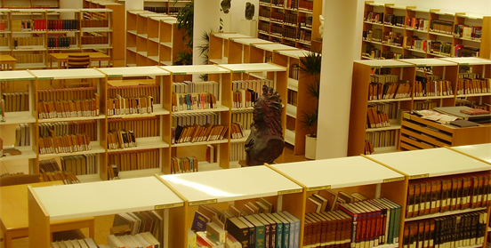 Vista de la sala de lectura de la biblioteca (planta inferior)