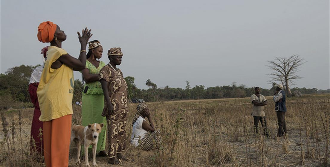 Proyecto en Senegal