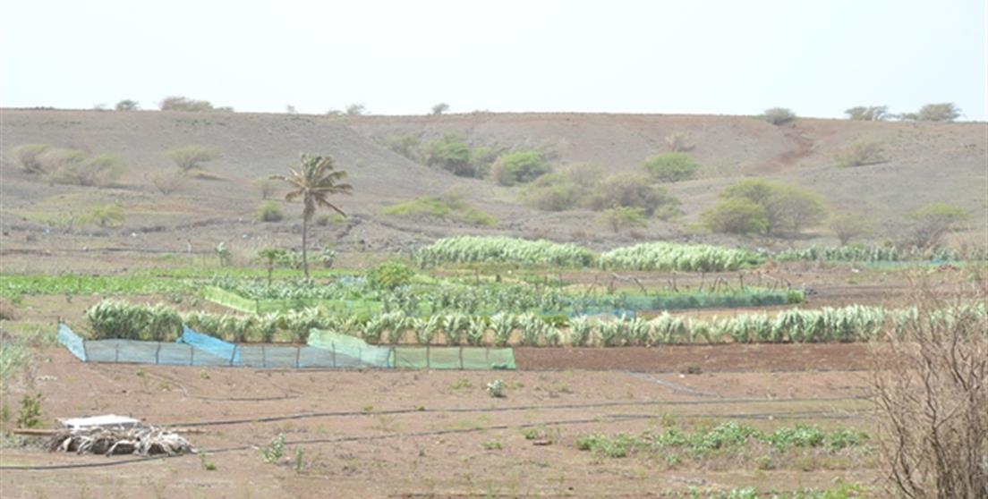 Proyecto FIDA POSER Cabo Verde