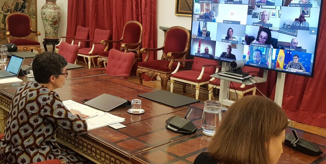 Videoconferencia Ministra