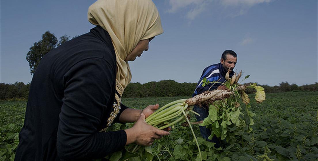 Storytelling Marruecos