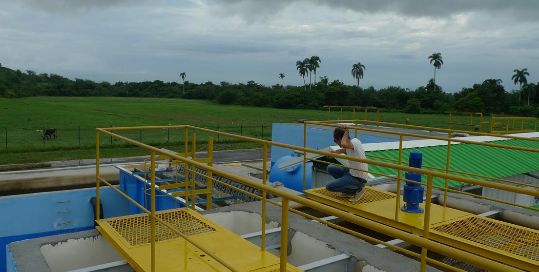 Imagen de la planta