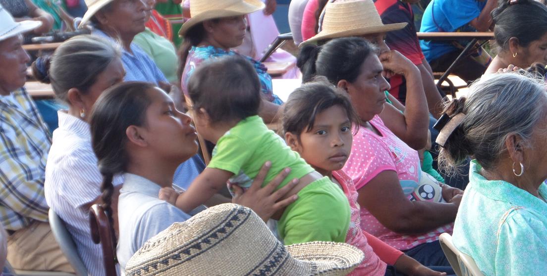 asamblea comunitaria