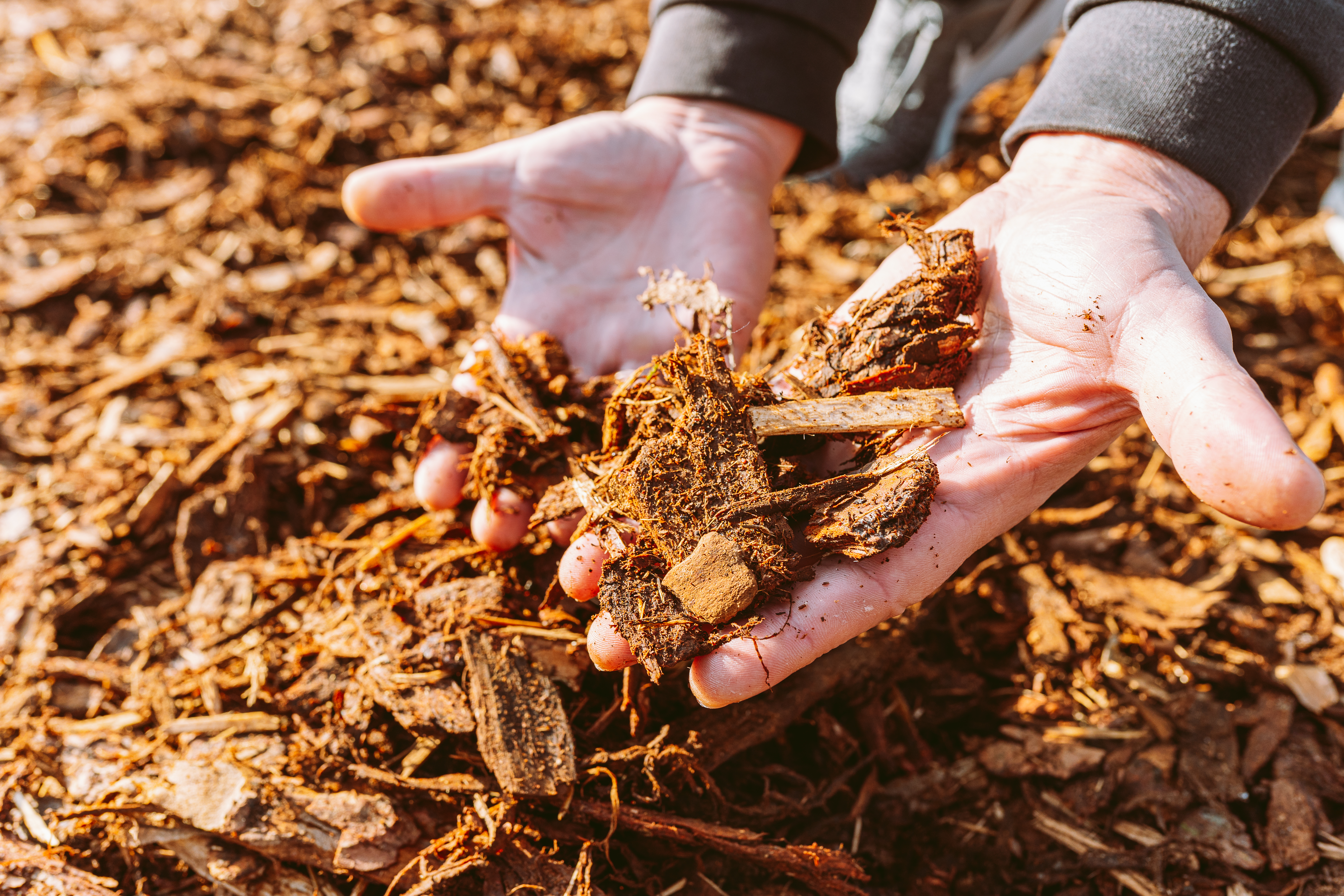 La biomasa se genera mediante la utilización de diferentes residuos. En la imagen se muestran derivados del mantenimiento de bosques, como ramas, cortezas y hojas, que se procesan para obtener biocombustibles y energía térmica o eléctrica.