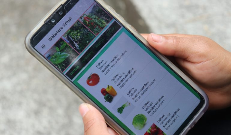 Mostrando pantalla de teléfono móvil