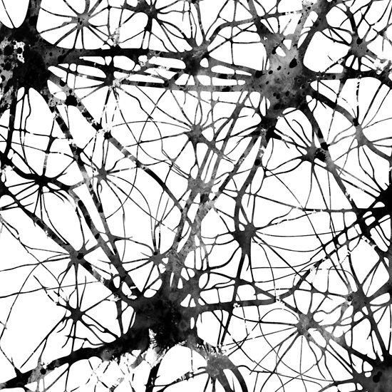 Redesconexiones sinpticas