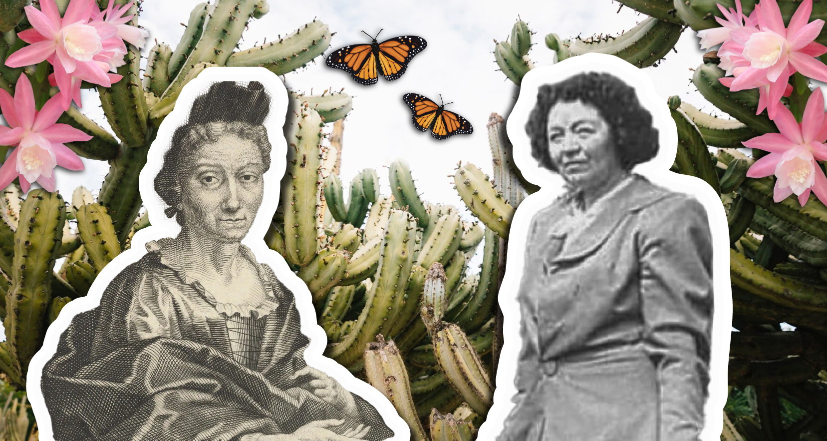 Taller Cientficas naturalistas