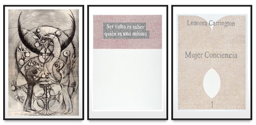 Pancartas