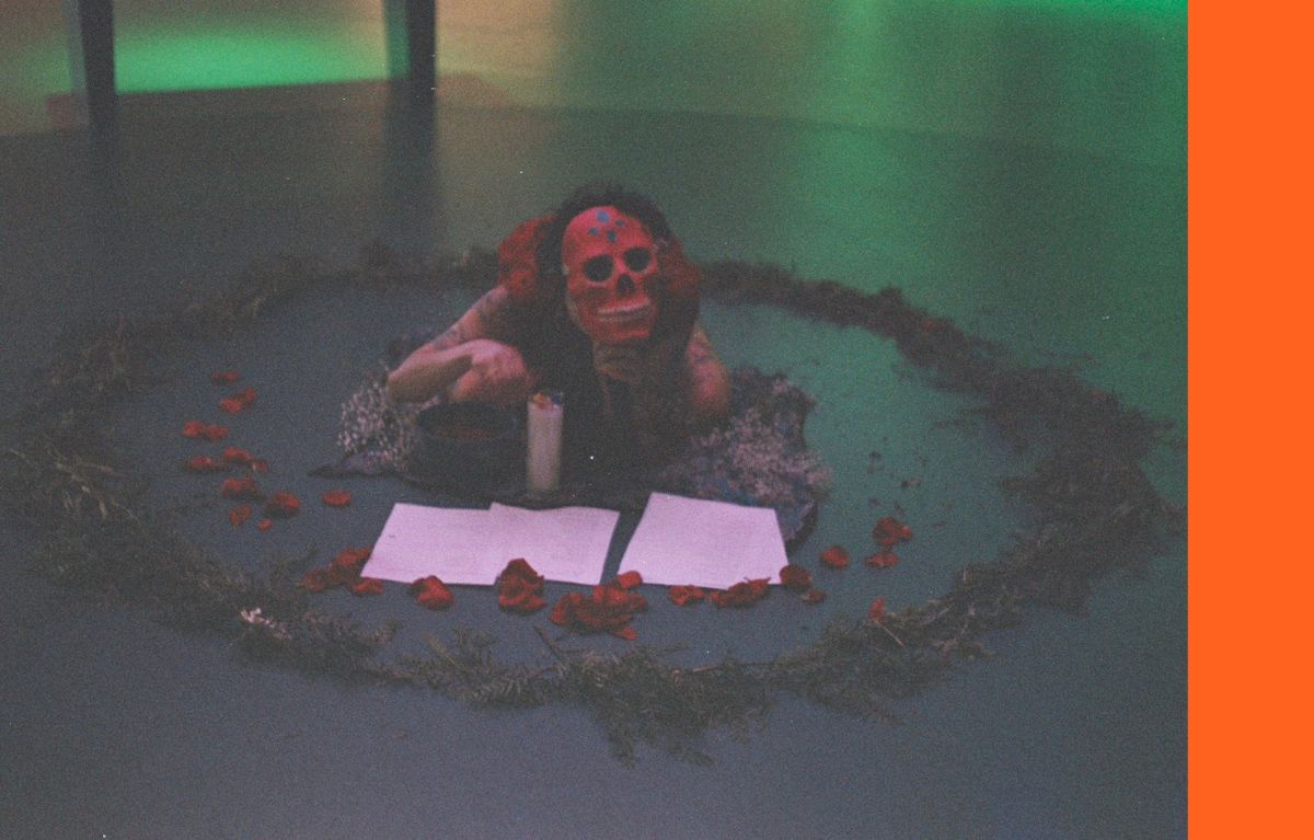 donde caben los perros pánico o peligro