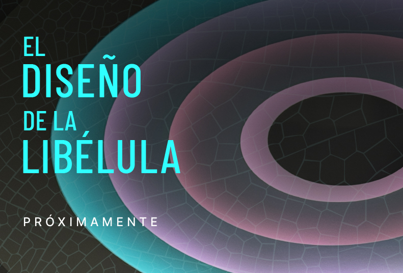 El diseño de la libélula