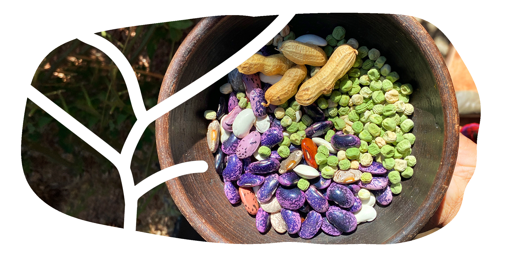 Germinando nuestro barrio