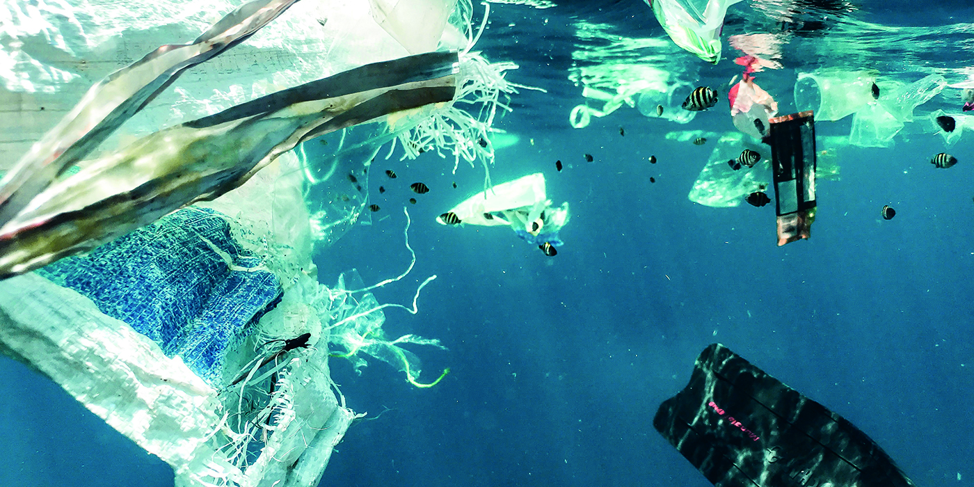 Emergencia climtica limpiemos y protejamos nuestros mares