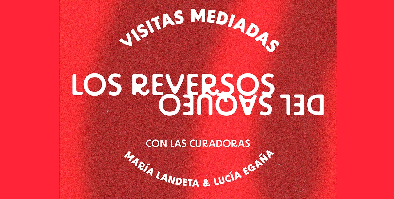 Visitas mediadas