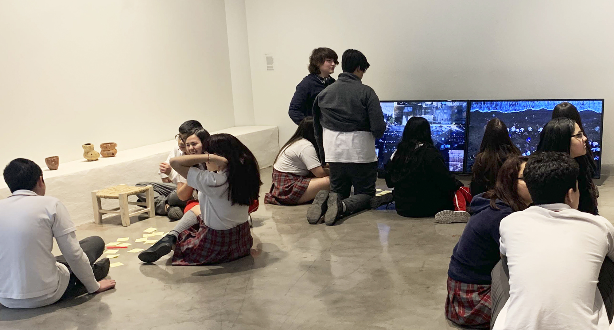 Programa educativo 2020