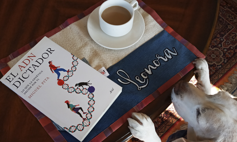 Desde el CCESantiago te recomendamos I