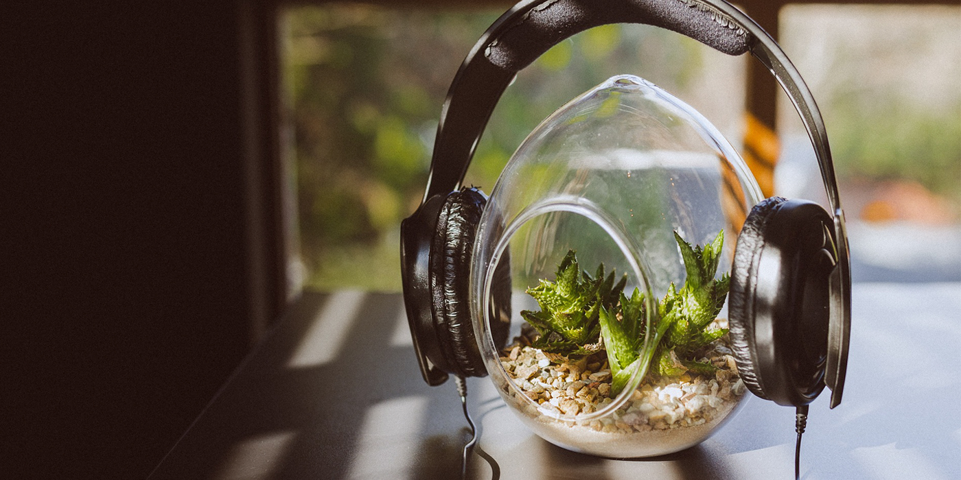 Desde el CCESantiago te recomendamos XII