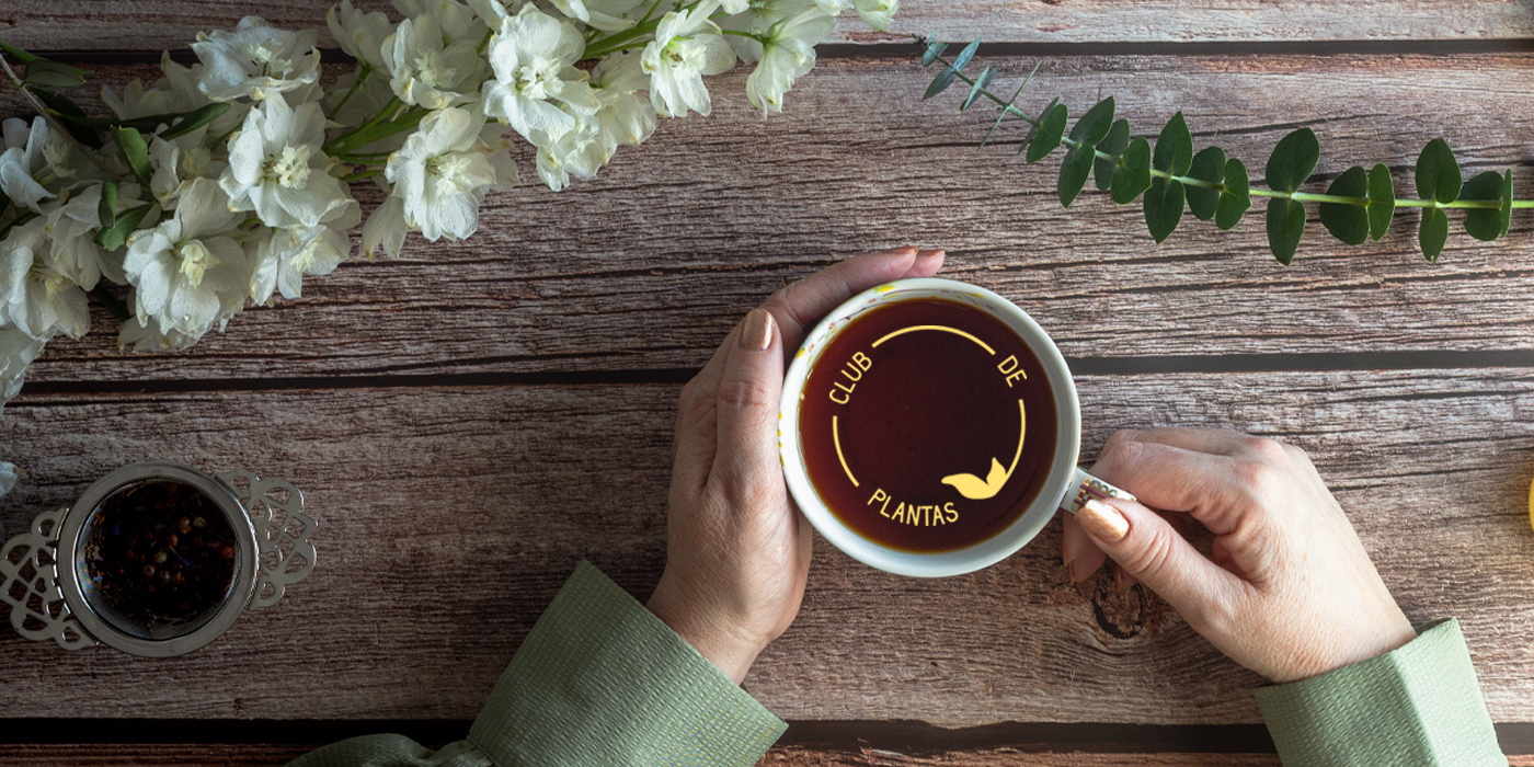 Club de plantas mayo