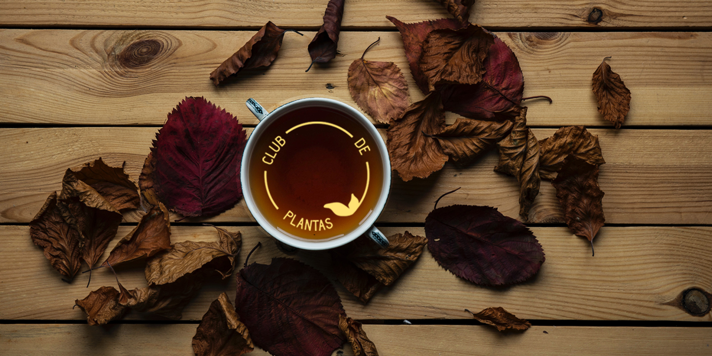 Club de plantas junio