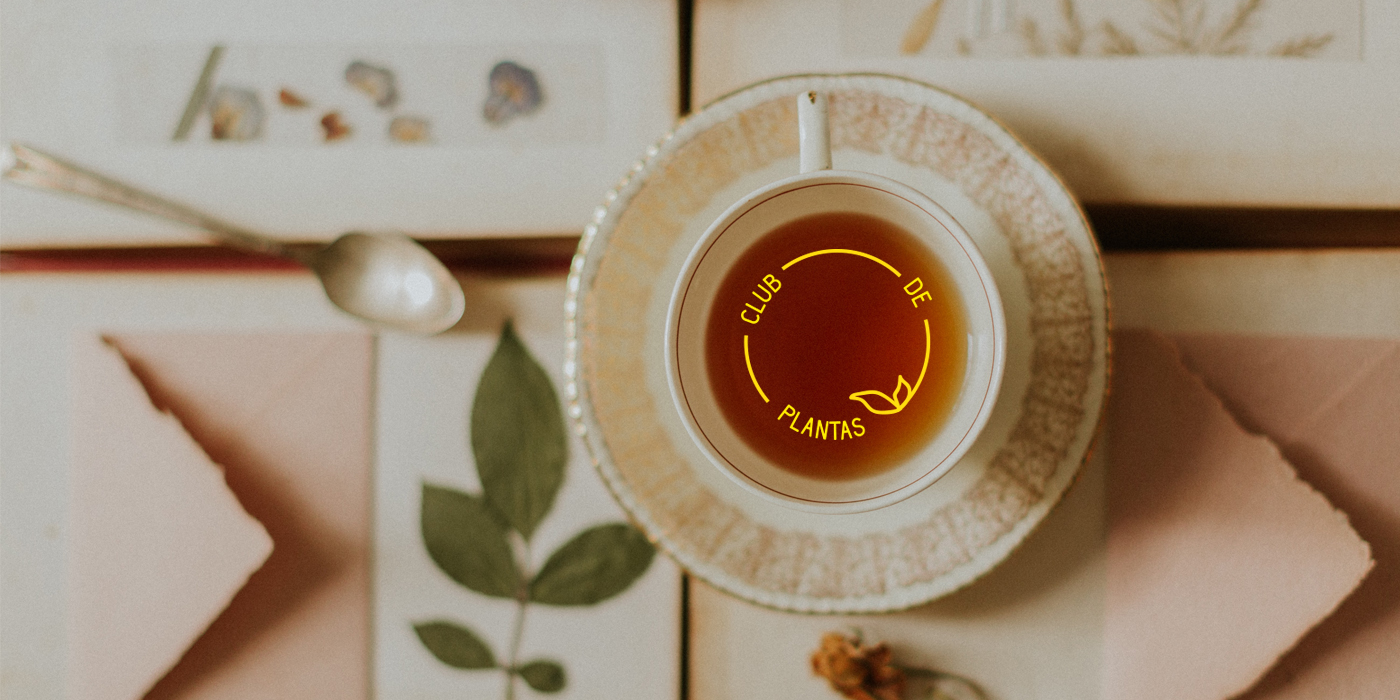 Club de plantas noviembre