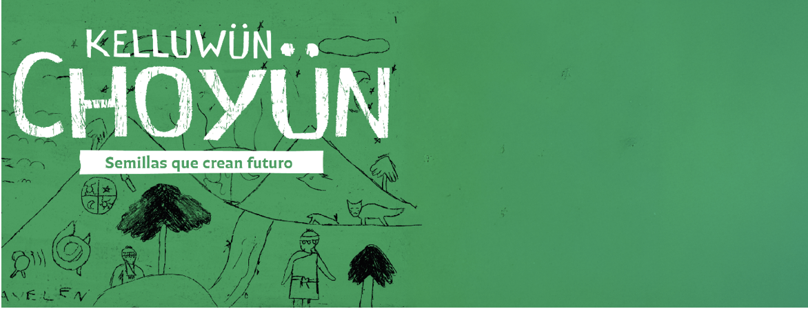 “Kelluwün Choyün”, la muestra que explora los desafíos y el aprendizaje del trabajo artístico y audiovisual en infancias mapuche