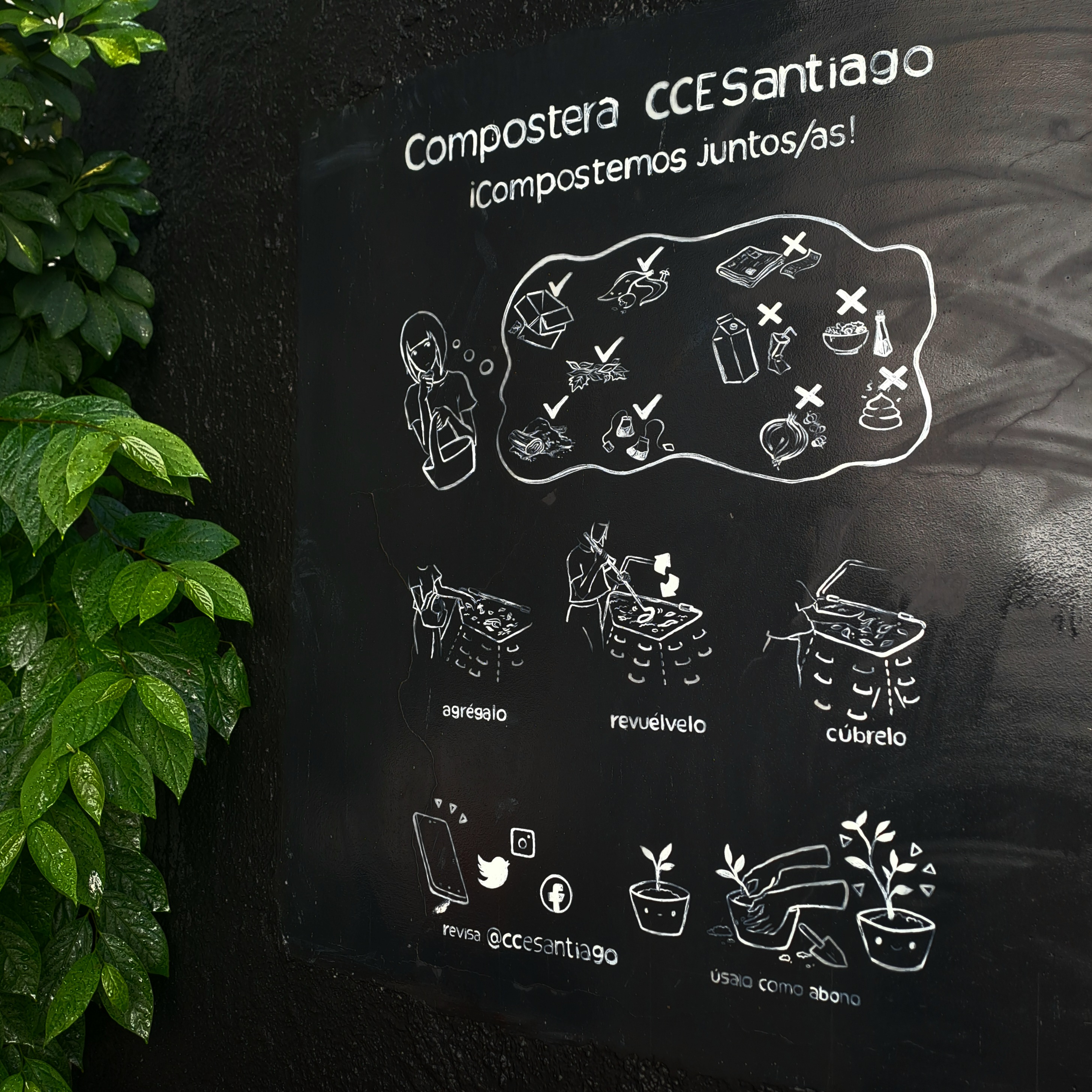 Cosecha compostera CCESantiago