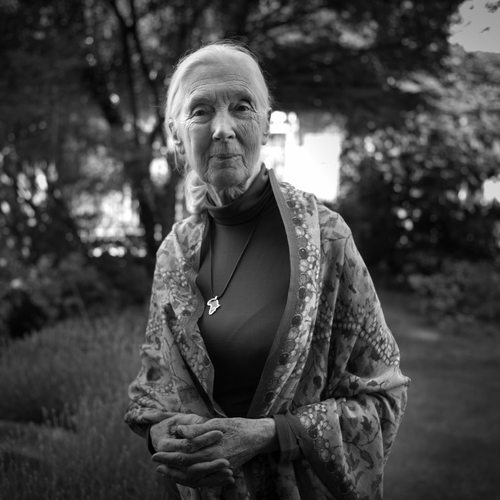 Homenaje a la medioambientalista JANE GOODALL