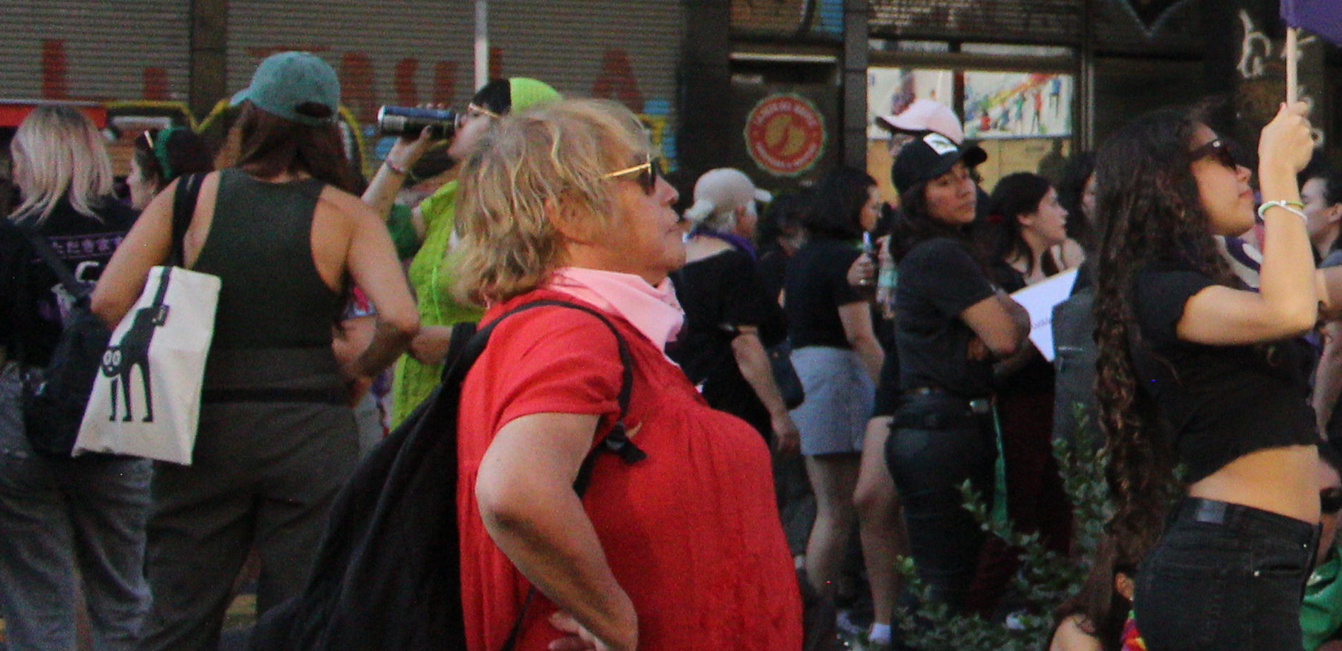 Presentación Estudio “Que los datos hablen: democracia, discriminación y seguridad en la vida de las mujeres en Chile”