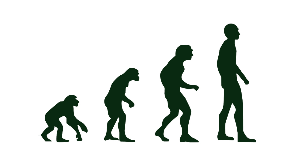 El animal poltico o la difcil convivencia humana