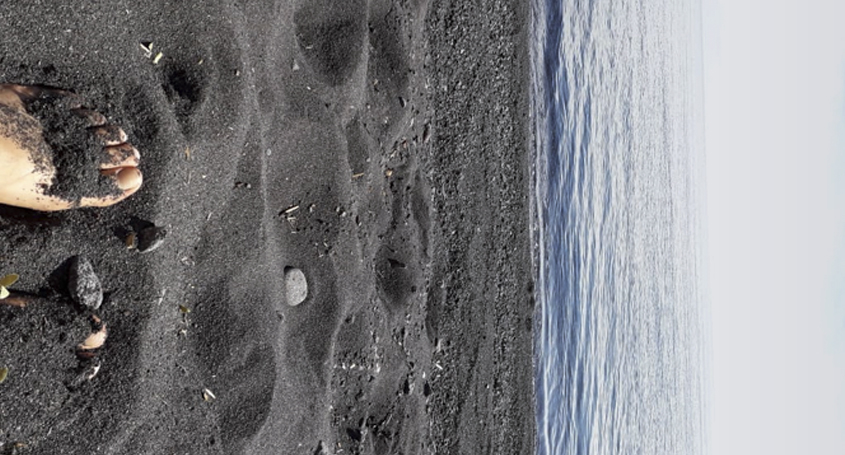 Desde el CCE te recomendamos V