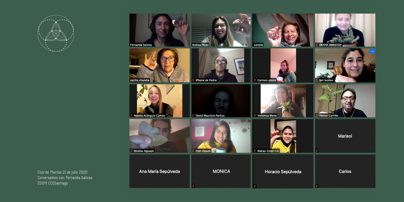 Club de plantas Encuentro con la naturaleza y las emociones