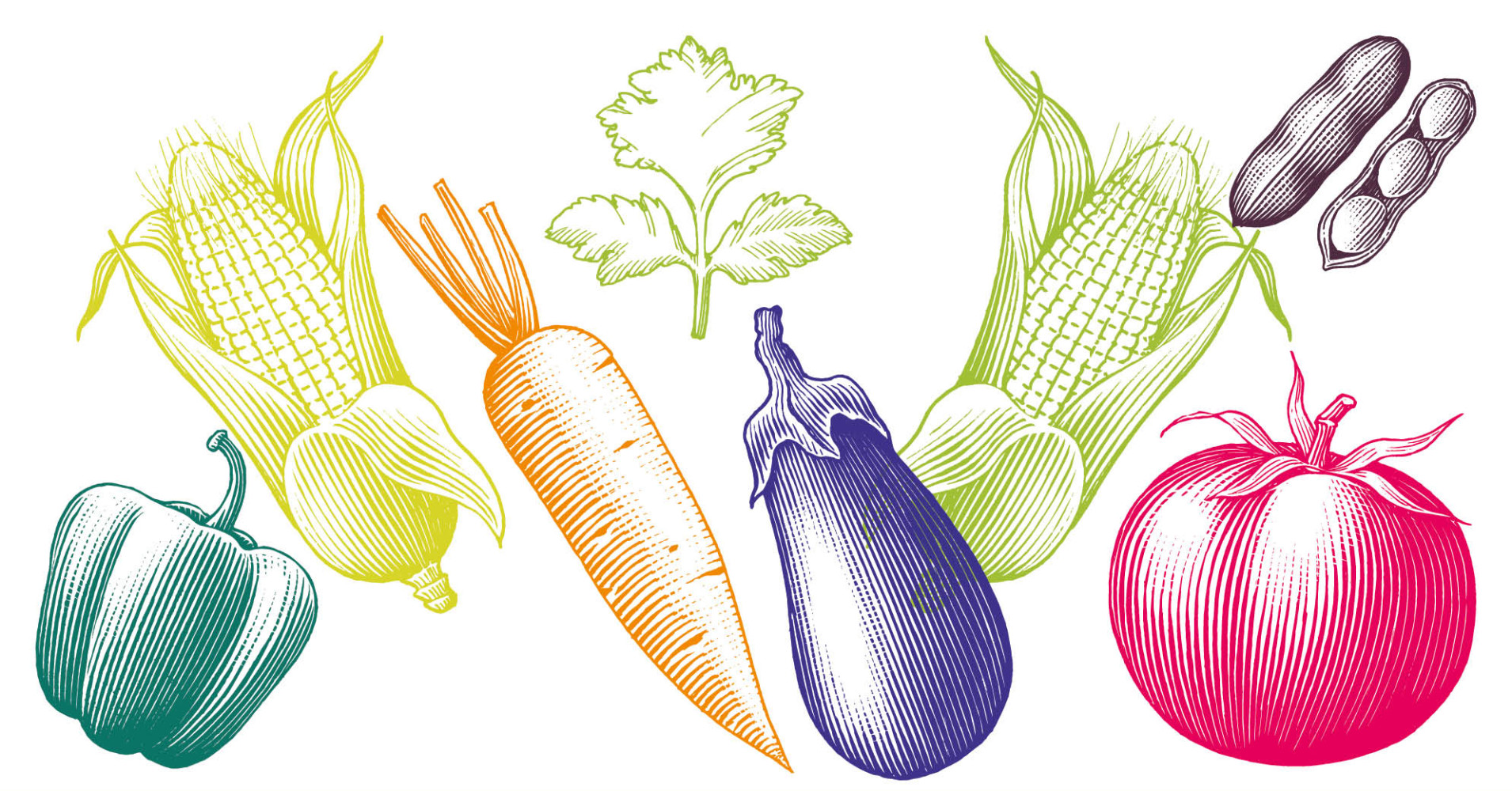 Mercadito agroecolgico