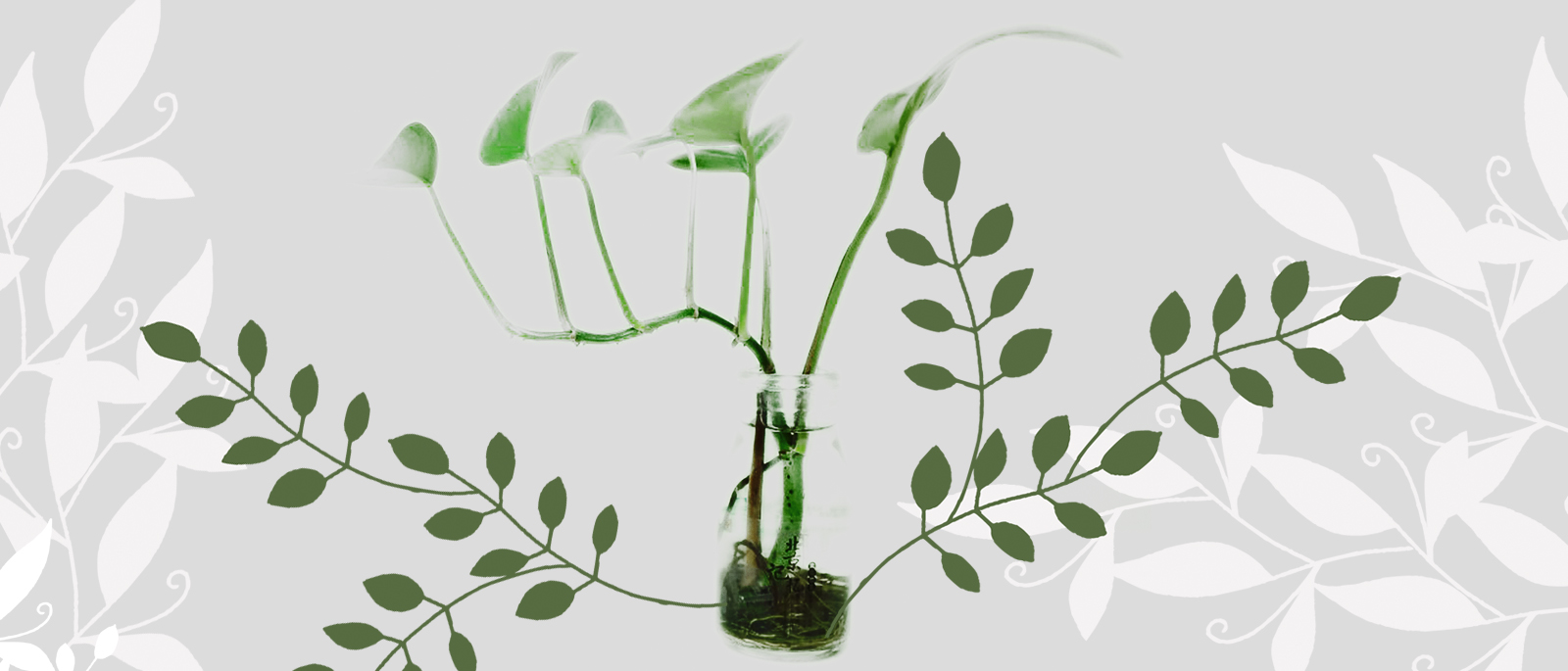 Plantatn DesdeCasa