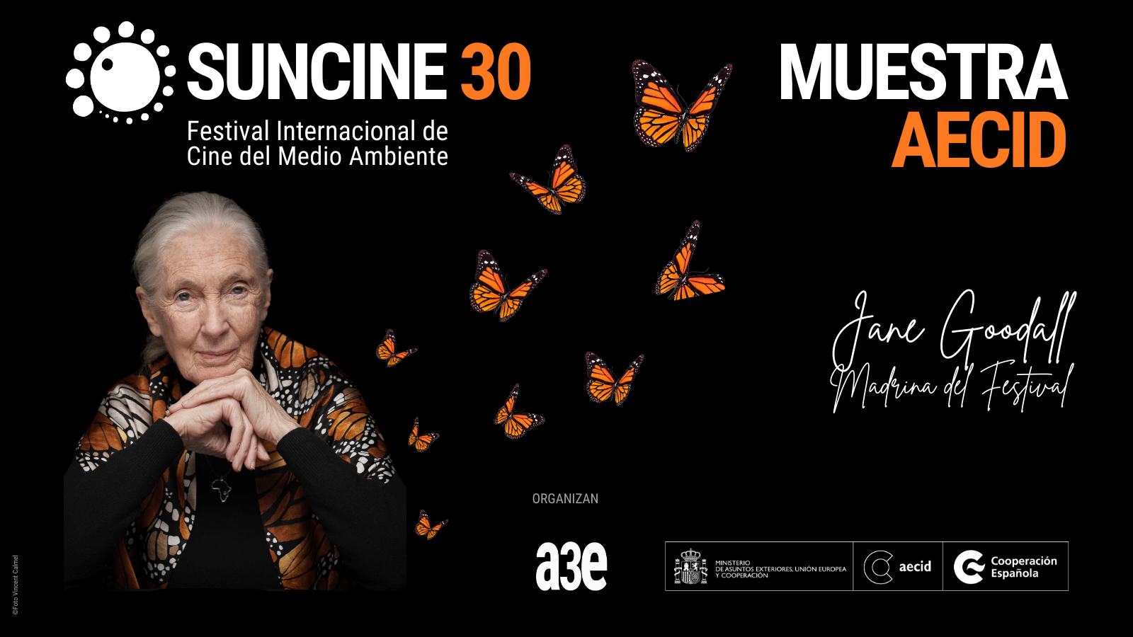 Muestra SUNCINE 30