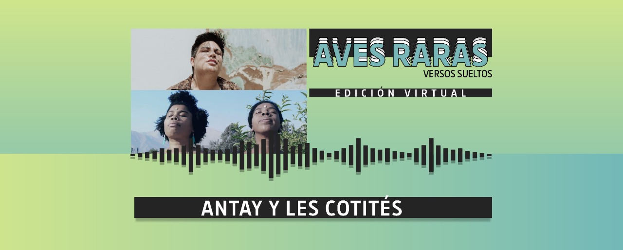 Aves Raras Versos Sueltos Antay y Les Cotits