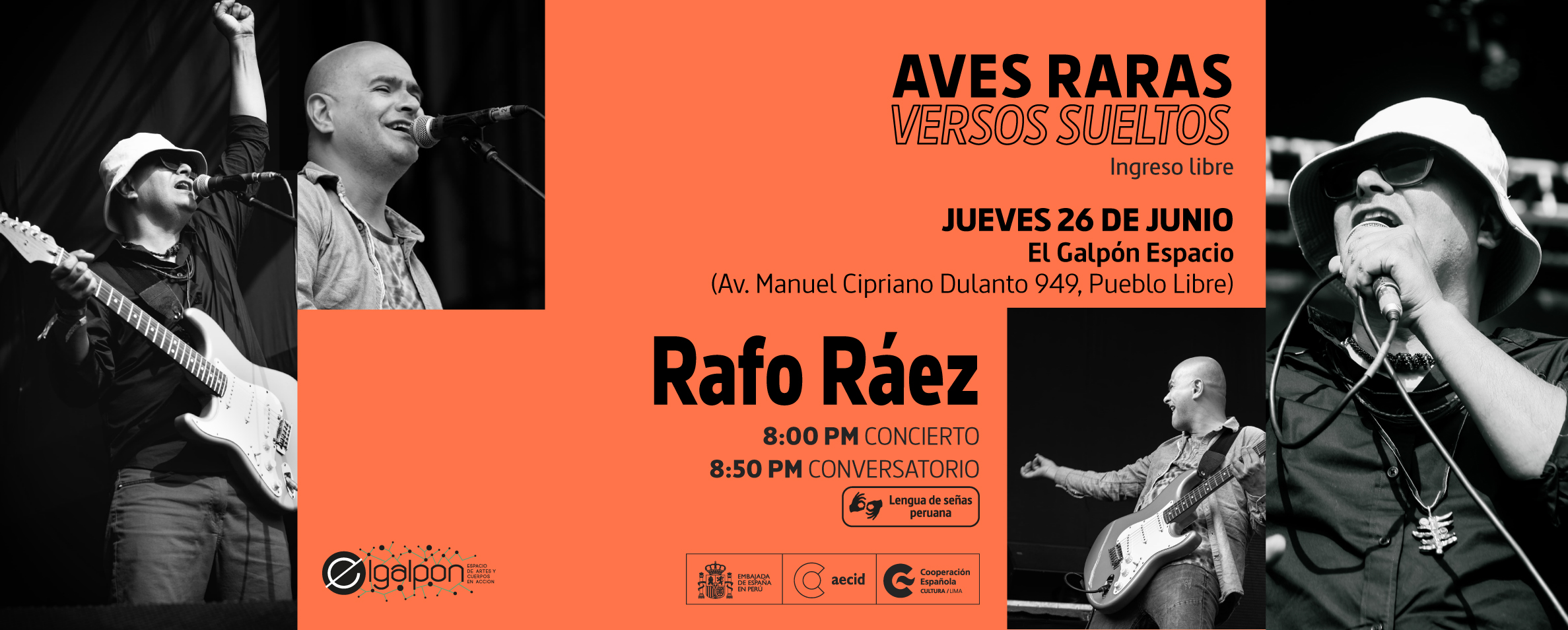 Portada Aves Raras. Versos Sueltos 2025: Rafo Ráez