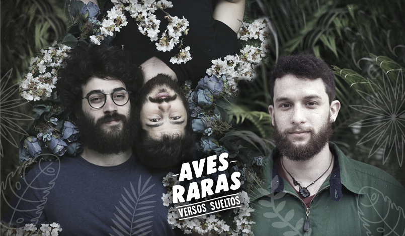 Aves Raras en Fair Saturday