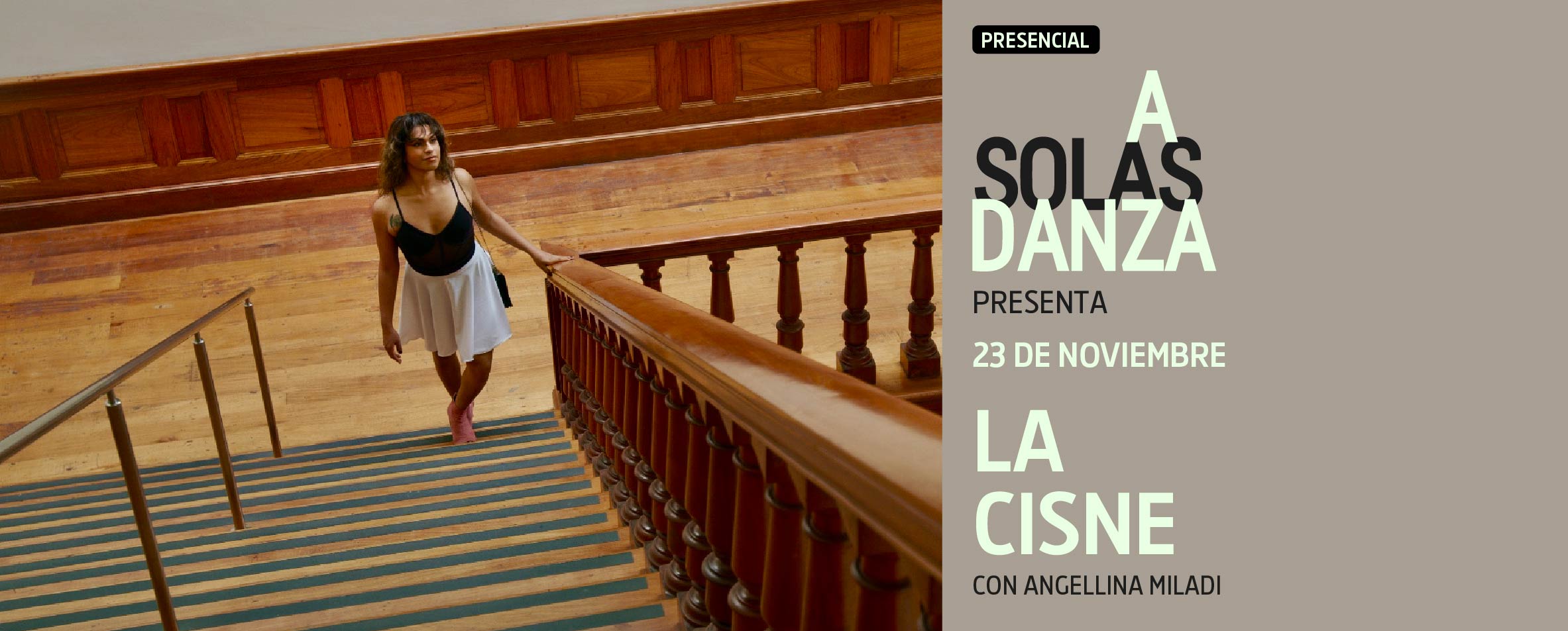 A Solas Danza 2022 La Cisne